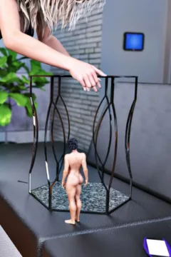 The Arrangement 5 (12)