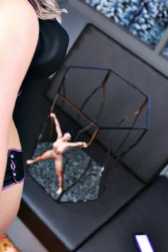 The Arrangement 5 (17)