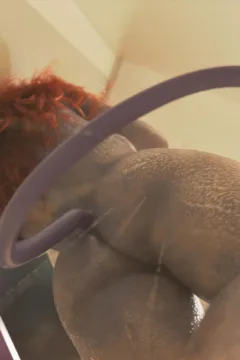 The Succubus Project Ch (181)