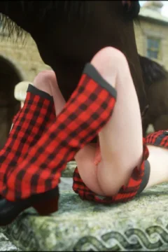 CGS 153 – BSS Lesson 2 24