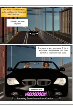 Deceptive Arrangement (10)