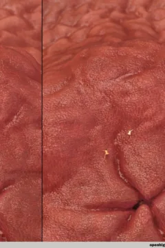 The Goddess Beyond the Glass (332)