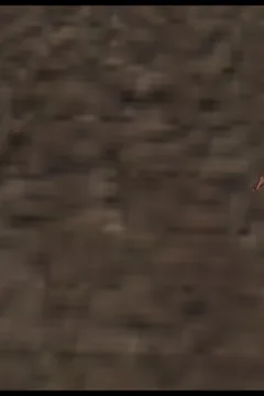 A Test Subject 2 (13)