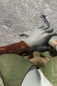 Backyard Discovery (10)