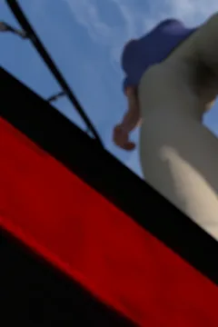 Backyard Discovery (6)