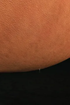 Backyard Discovery (7)