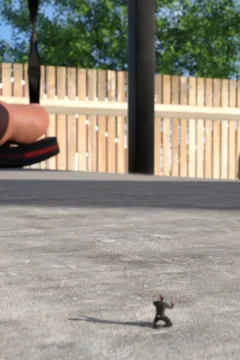 Backyard Discovery (9)