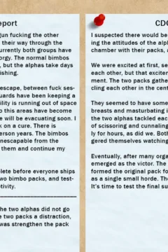 Book of the Bimbo (27)