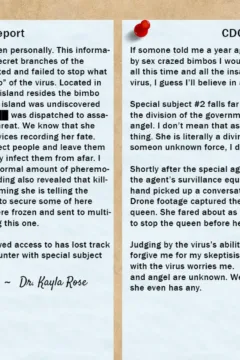 Book of the Bimbo (30)