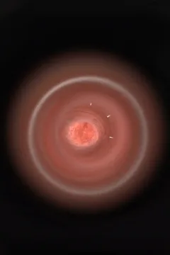 Christmas Latte (118)