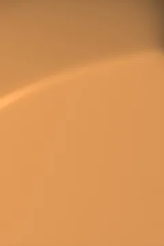 Christmas Latte (75)