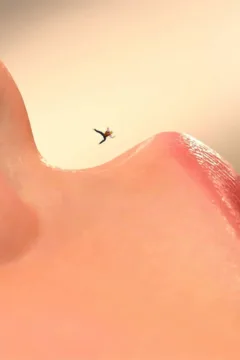 Exploring the Female Body (36)