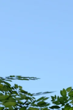 Locker Room Lust (10)