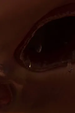 STRETCHING ROUTINE (132)