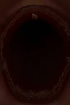 STRETCHING ROUTINE (134)