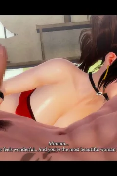 THE BEAR OF TOYOTOMI (13)