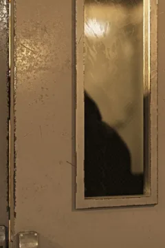 The Asylum – D-800 – 0078