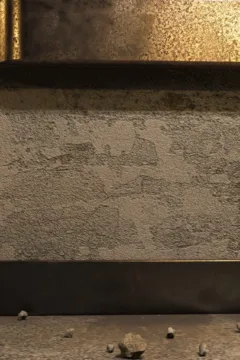 The Asylum – D-800 – 0089