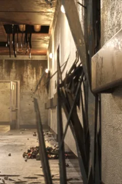 The Asylum – D-800 – 0109