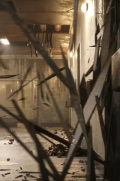 The Asylum – D-800 – 0110