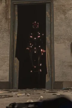 The Asylum – D-800 – 0113