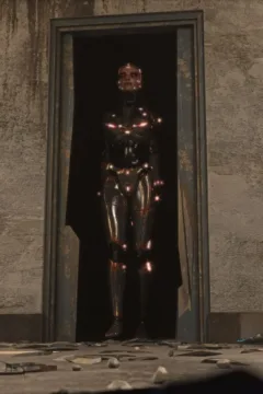 The Asylum – D-800 – 0114