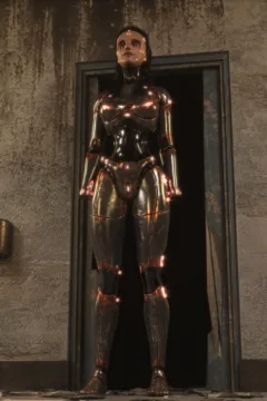 The Asylum – D-800 – 0116