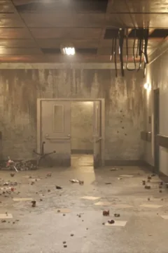 The Asylum – D-800 – 0139