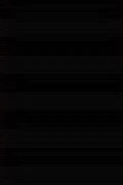 The Asylum – D-800 – 0165