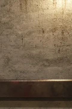 The Asylum – D-800 – 0191