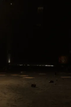 The Asylum – D-800 – 0203