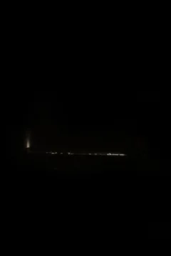 The Asylum – D-800 – 0204