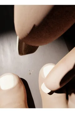 A Tale of Two Giants (38)