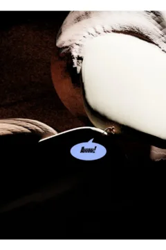 A Tale of Two Giants (39)