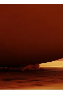 A Tale of Two Giants Part 2 (35)