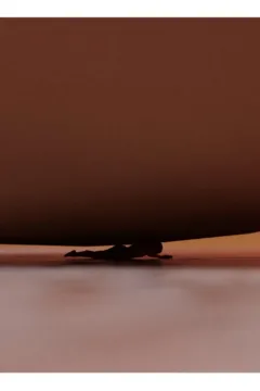 A Tale of Two Giants Part 2 (48)