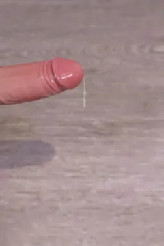 Fashion World 6 (85)