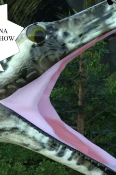 Flora’s First Encounter (52)