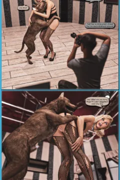 Grace Holidays Dream (11)