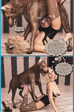 Grace Holidays Dream (17)