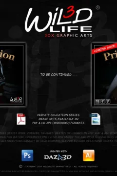 Library Studies (62)