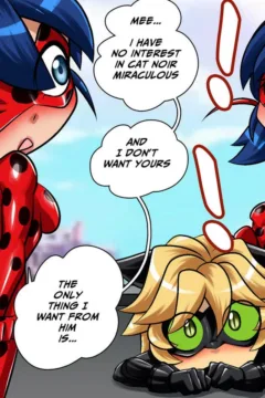 Miraculous Ladybug (48)