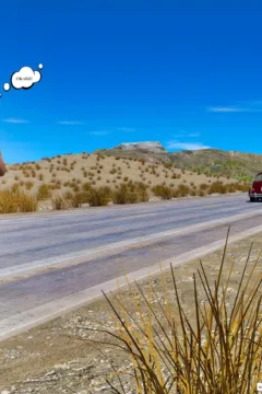 Miss Gwyneth Pettifer 2 (23)