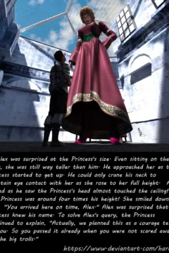 Oversize Princess (8)