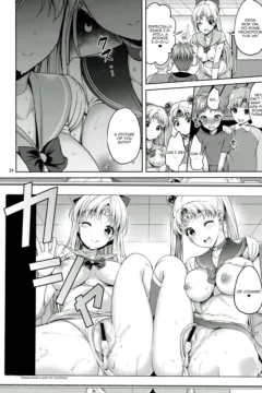 Sister Sailor Moon (23)