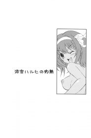 Suzumiya Haruhi no Shakunetsu (2)