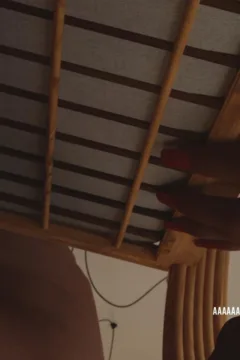 The Babysitter (123)