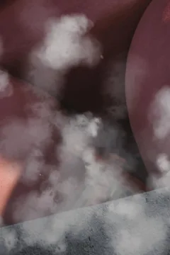 The Babysitter (169)