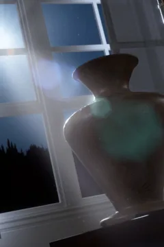 The Dossier 008 (13)