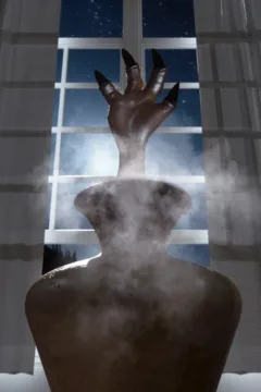 The Dossier 008 (15)